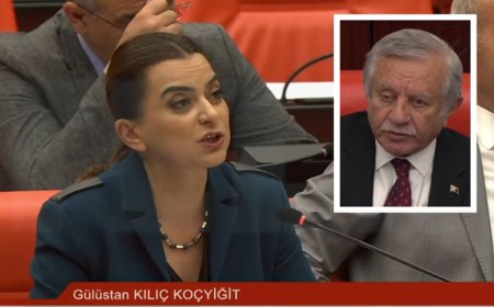 DEM Partili Koçyiğit Meclis’te Kürtçe konuşunca mikrofonu kapatıldı