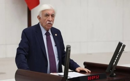 DEM Parti'nin Meclis Başkan adayı Cengiz Çandar oldu