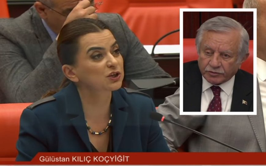 DEM Partili Koçyiğit Meclis’te Kürtçe konuşunca mikrofonu kapatıldı