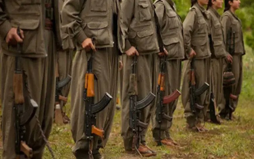 Türkiye Raporu’ndan “PKK fesih” anketi