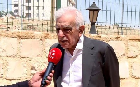 Ahmet Türk: Devlet de adım atmak istiyor, ancak çok geç atıyor