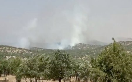 Mardin'de yangın çıktı: DEM Parti milletvekili acil müdahale çağrısı yaptı