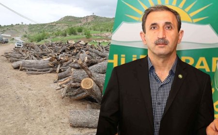 Besta ve Gabar’da ağaç kesimine HÜDA PAR Milletvekili Demir'den tepki: Meclis’e taşıdı