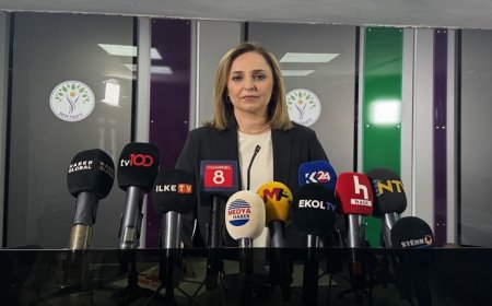 DEM Parti: 'Silah DEM Parti’nin elinde değil'