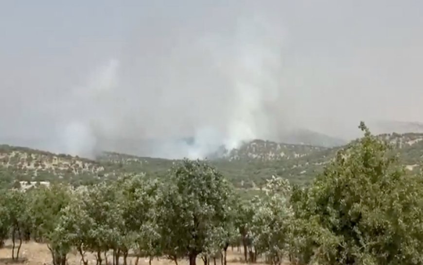 Mardin'de yangın çıktı: DEM Parti milletvekili acil müdahale çağrısı yaptı