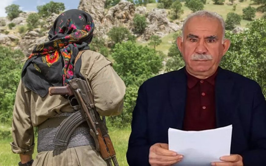 PKK'nin fesih sürecinde 'yeni aşamaya geçildi': Bir sonraki adım ne olacak?