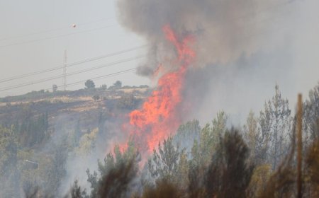 DMM'den bazı orman yangınlarını PKK'ye bağlı bir grubun üstlendiği iddialarına ilişkin açıklama