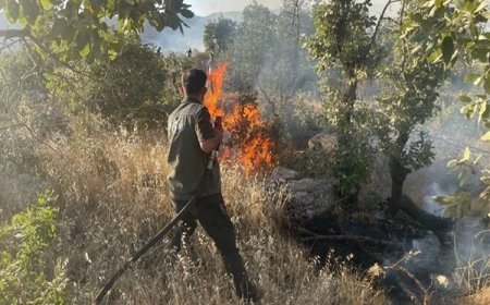 Gabar Dağı'ndaki orman yangını kontrol altına alındı