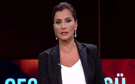 Gazeteci Hande Fırat, silahların nasıl teslim edileceğinin detaylarını yazdı