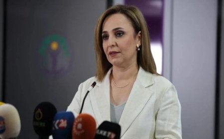 Ayşegül Doğan: PKK'nin silah bırakma törenine katılacağız