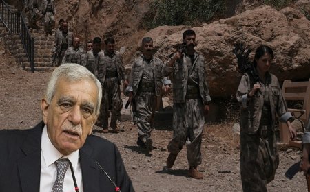 Ahmet Türk: Başkan Barzani barış sürecine çok hizmet etti