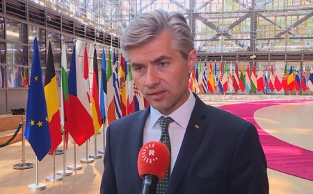 Litvanya’dan Şam’a uyarı: Kürtlerin hakları korunmazsa yaptırımlar geri gelebilir