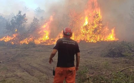 Eskişehir’de orman yangını: 10 kişi yanarak hayatını kaybetti