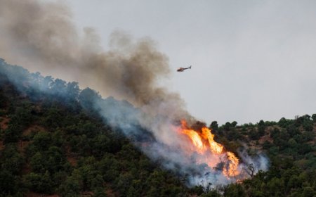 PKK’den Türkiye’deki orman yangınlarına ilişkin açıklama