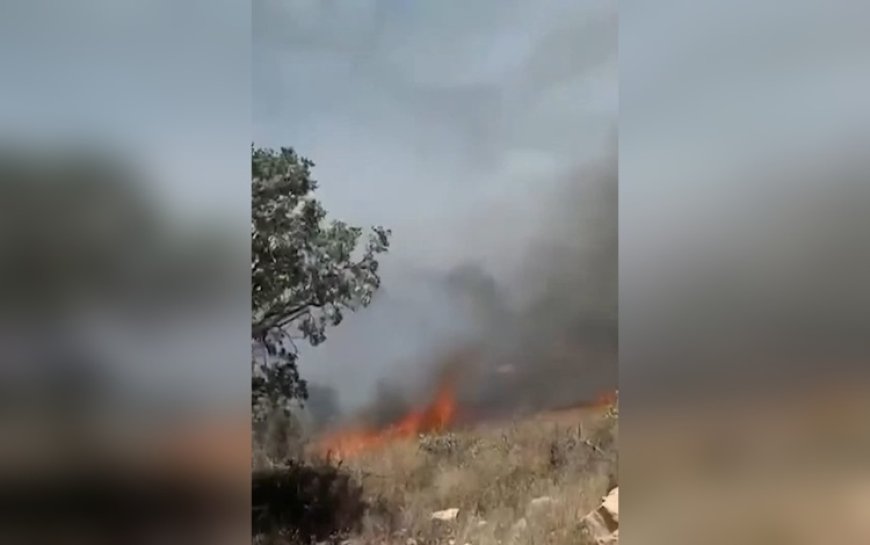 Mardin ve Şırnak'ta orman yangını
