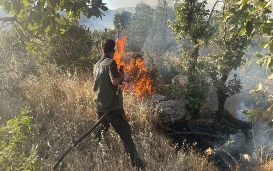 Gabar Dağı'ndaki orman yangını kontrol altına alındı