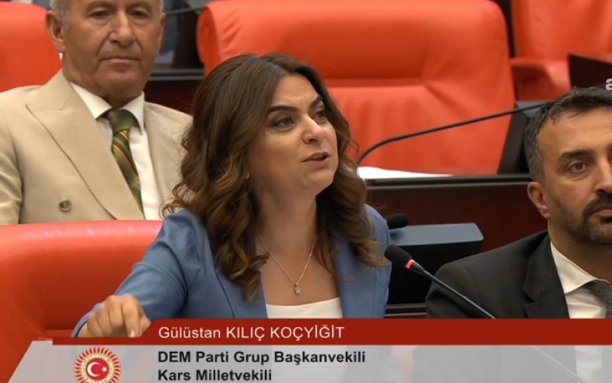 Koçyiğit’ten ‘Demirtaş’ tepkisi: On defa da altına mektup yazar gibi 'serbest bırak' mı yazsın?