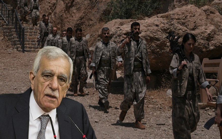 Ahmet Türk: Başkan Barzani barış sürecine çok hizmet etti