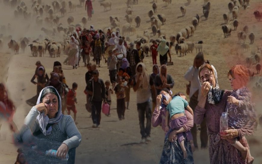 Ezidi soykırımı 11. yılına girdi: Binlerce kadın ve çocuk hâlâ kayıp