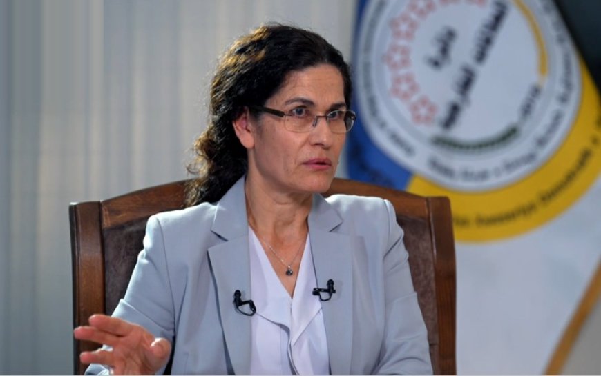 İlham Ahmed: DSG'nin 10 Mart Anlaşması’na göre ordunun bir parçası olması gerekiyor