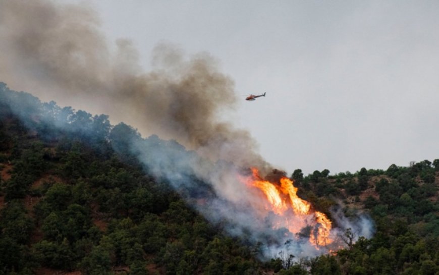 PKK’den Türkiye’deki orman yangınlarına ilişkin açıklama
