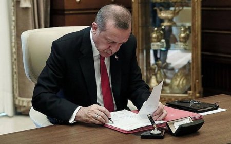 Erdoğan kararnameyi imzaladı: 12 hükümlünün cezası affedildi
