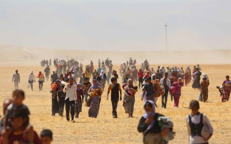 IŞİD’in Ezidi Kürtlere yönelik soykırımı 11. Yılında: Hâlâ 3 bin kişi kayıp, binlerce aile mülteci hayatı yaşıyor