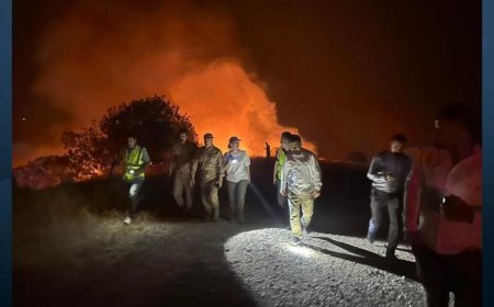 Halepçe’deki orman yangınında iki kişi hayatını kaybetti