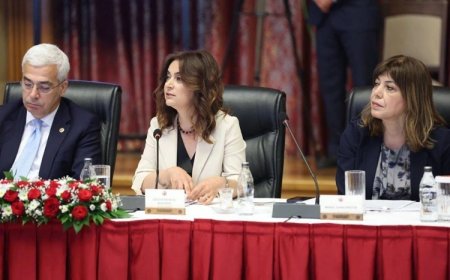 DEM Parti'den komisyonda 'özerklik talep edildi' iddialarına yalanlama