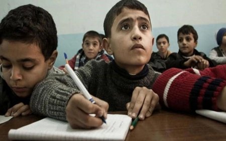 Kürtçe mi zor Türkçe mi? Araştırmalar ne diyor?