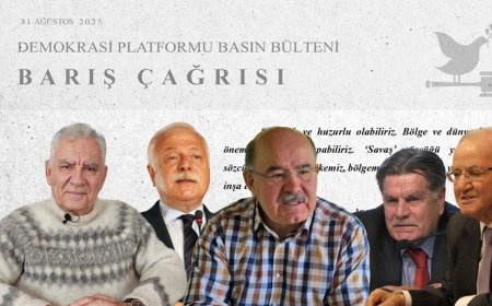 Demokrasi Platformu’ndan iki dilde çağrı: ‘Devlet Kürtlerle barışmalı’