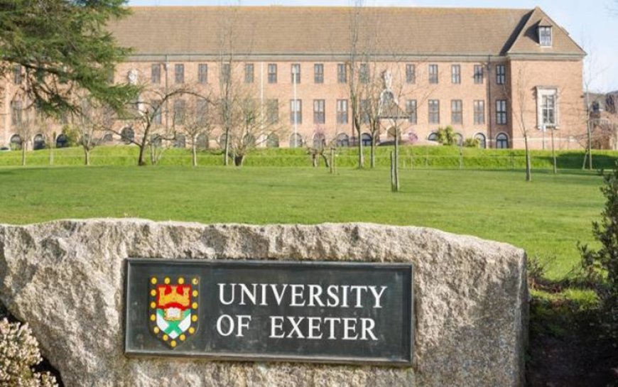 İngiltere’deki Exeter Üniversitesi ilk kez Kürtçe kursu açıyor