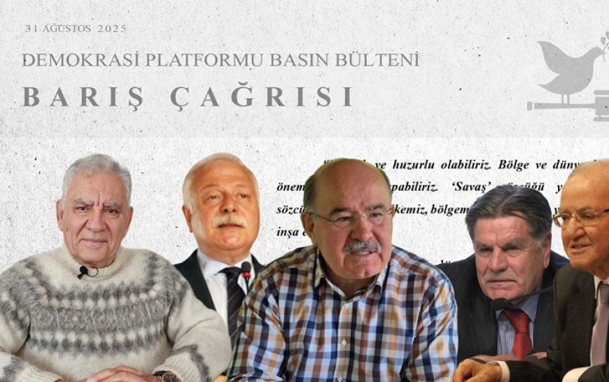 Demokrasi Platformu’ndan iki dilde çağrı: ‘Devlet Kürtlerle barışmalı’