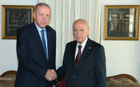 Erdoğan ile Bahçeli görüştü