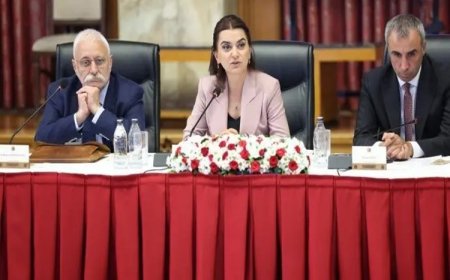 Koçyiğit, çözüm komisyonunda konuştu: Barış hepimizin olmalı, yeni dili korumalıyız