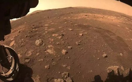 NASA heyecanla duyurdu: Mars'ta en net yaşam izi