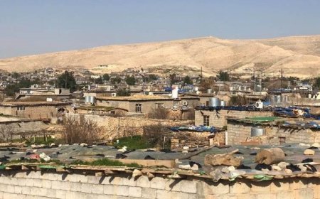 Mahmur Kampı'nın meclis eş başkanı gözaltına alındı