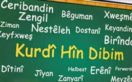 Afrin’de Asimilasyon Derinleşiyor: Kürtçe Eğitim Yasaklandı