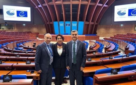 Zeydan’dan Avrupa Konseyi’nde konuştu: “Demokratikleşme ve barış için tarihsel bir fırsat var”