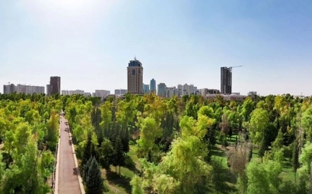 Mesrur Barzani, Erbil’de “Yeşil Kuşak” projesi için ilk ağacı dikecek