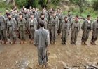 PKK’nin üst düzey iki isminin hayatını kaybettikleri açıklandı