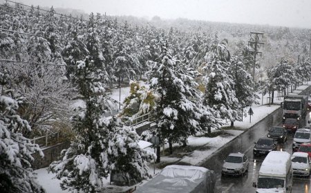 Erzurum’a kar yağdı