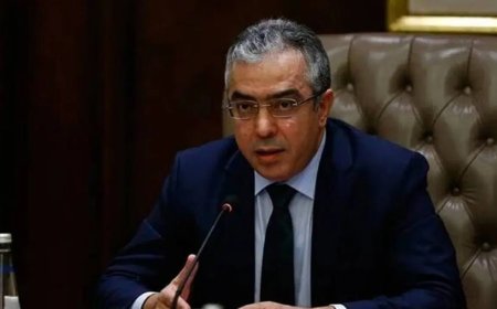Erdoğan'ın Başdanışmanı: “Geçiş süreci tüm Kürtleri kapsamıyor"!
