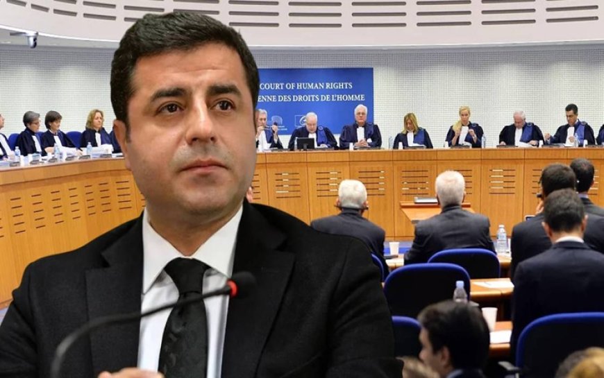 Türkiye AİHM'in Selahattin Demirtaş kararına itirazını sundu