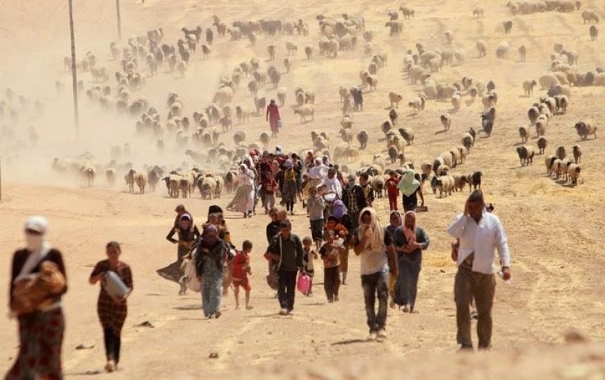 Almanya: Ezidi bölgelerinin yeniden inşası Irak hükümeti için önemli bir görev