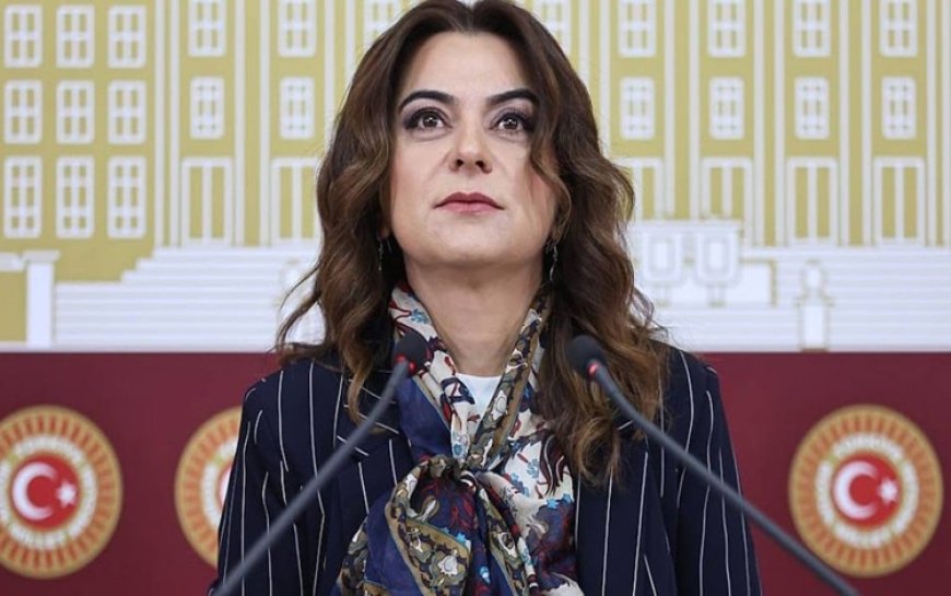 DEM Partili Koçyiğit, 'gencecik cesetler' sözü nedeniyle özür diledi