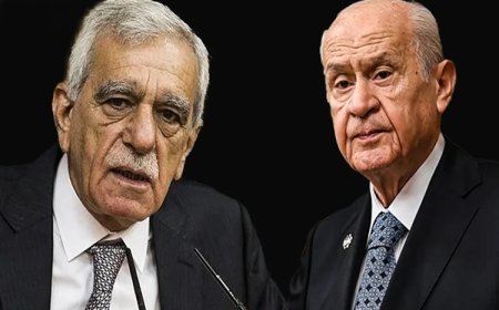Ahmet Türk, Devlet Bahçeli ile görüşecek