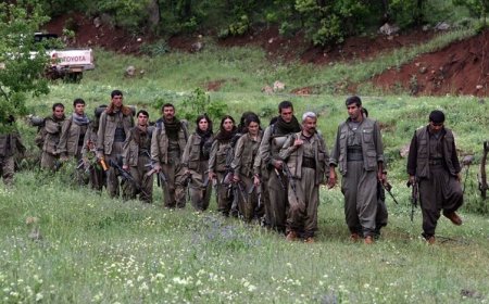 Yaşamını yitiren 5 HPG üyesinin daha kimlikleri açıklandı