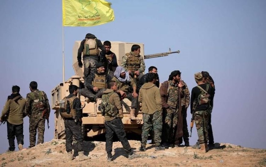 MSD Washington Temsilcisi: Türkiye DSG’nin entegrasyonunda olumlu rol oynayabilir