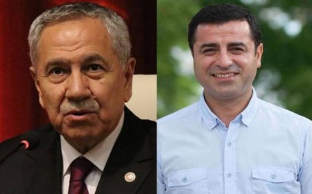 Arınç, Demirtaş ziyaretini anlattı: 'AİHM kararlarına uyulmalı'